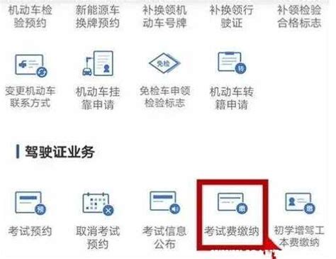 科目二考试费用多少钱2024车主指南