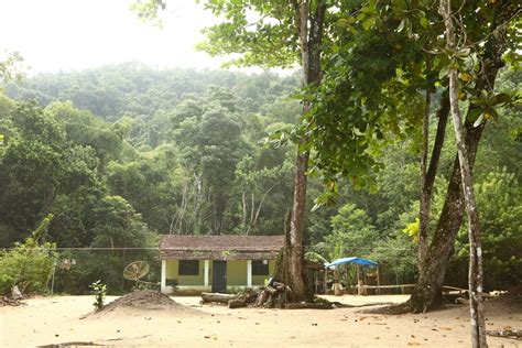 Praia Brava Da Almada Ubatuba