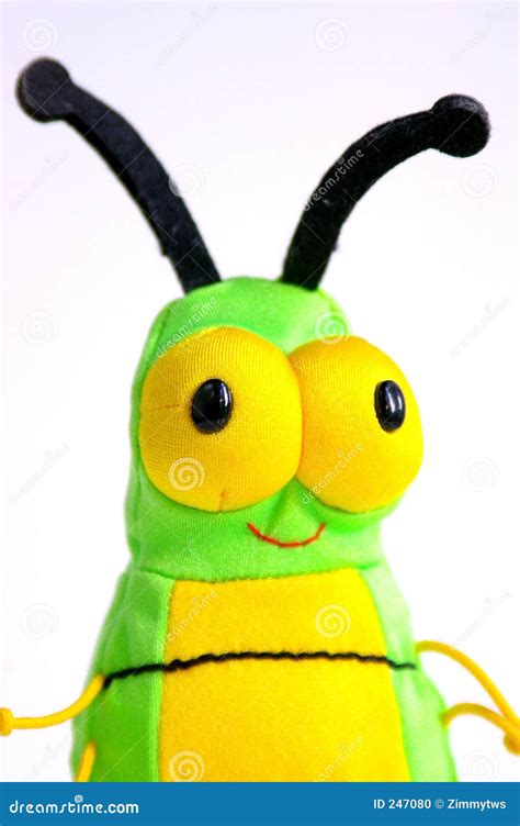 bug eyes stock photo image  insect yellow smile eyes