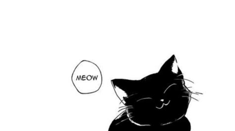 Cat Banner | (• •)| | Manga cat, Cute aesthetic sketches, Black and white cartoon