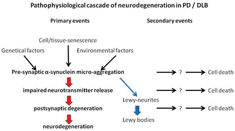 Biomolecules Free Full Text Is Cell Death Primary Or Secondary In The Pathophysiology Of