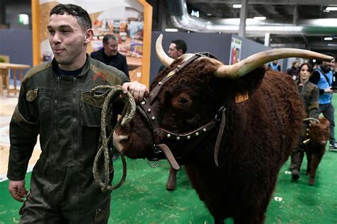 Le Salon De Lagriculture Ouvre Ses Portes Avec La Visite Demmanuel