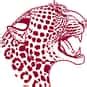 Jaguar Mascot Schools | List of Schools with Jaguar as their Mascot