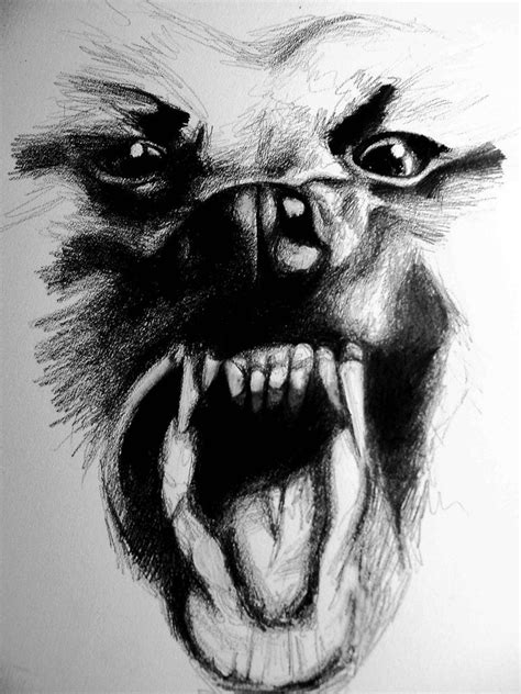 Angry Dog Sketch at PaintingValley.com | Explore collection of Angry ...