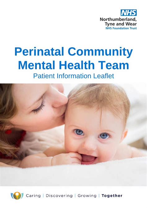 Pdf Perinatal Community Mental Health Team · Pregnancy And Into The