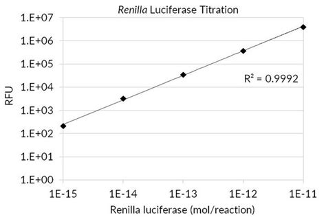 Renilla Luciferase Assay Sct