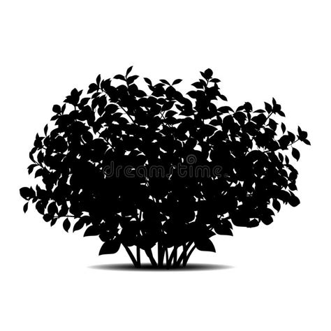 Silhouette Bush With Leaves And Shadow Stock Vector Illustration Of