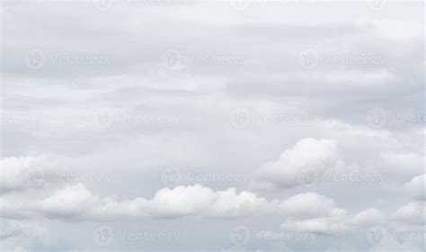 C Mulos Blancos Sobre Fondo De Textura De Cielo Gris Fotograma