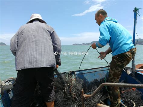 819霞浦高罗出海捕鱼海滩冲浪之行