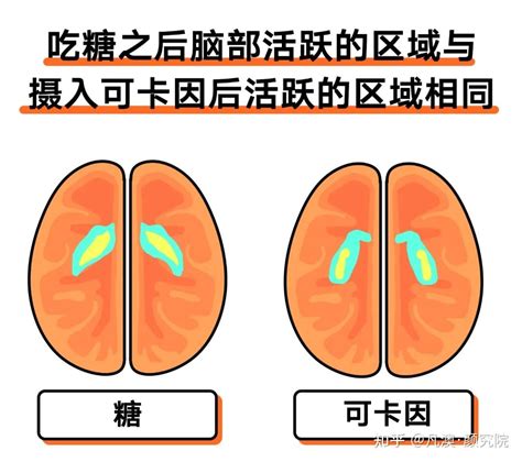 凡澳颜究院 糖瘾≈毒瘾？多巴胺奖赏系统深度解析 知乎