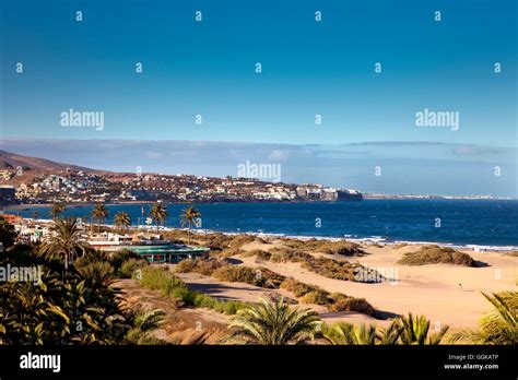 Maspalomas Dunes Playa De Ingles Gran Canaria Canary Islands Spain