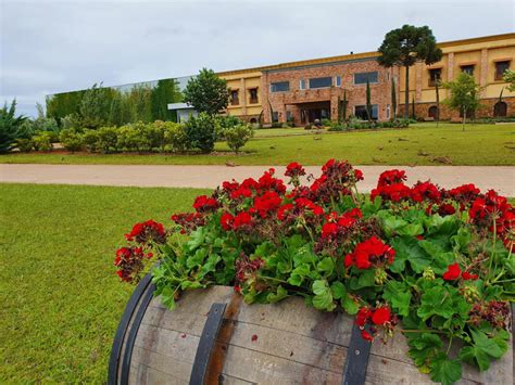 Vin Cola Campestre Enoturismo Em Campos De Cima Da Serra