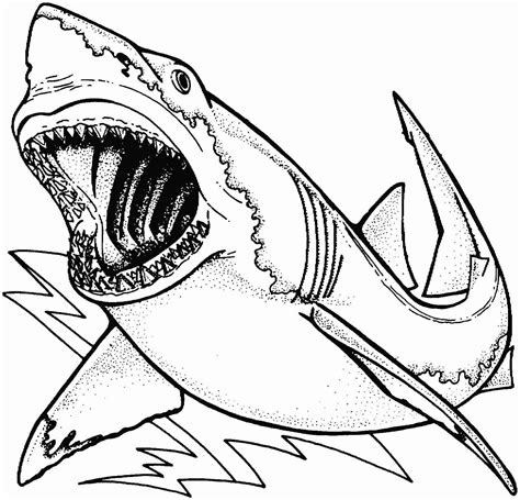 Hungry Shark World Coloring Pages At Getdrawings Free Download