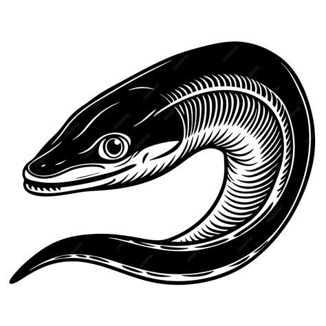 Eel Partially Silhouette Black Vector Premium Ai Generated Vector