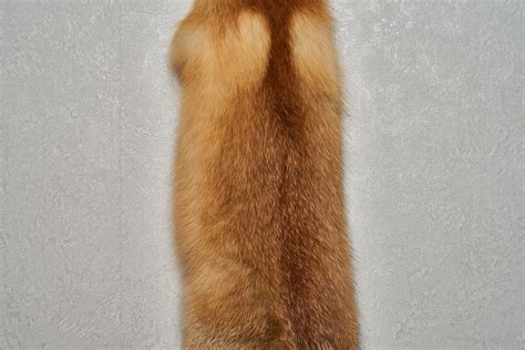 Siberian Red Fox Tanned Fur Pelt Skin Hide For Sale Real Decor