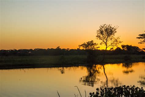 Pacotes De Viagem Mato Do Grosso Do Sul Pantanal Em Família