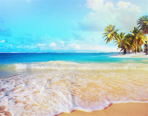 Coconut Beach Wallpaper