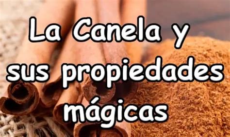 LA CANELA Y SUS PROPIEDADES MÁGICAS