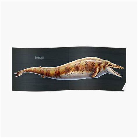 Dorudon Atrox Restored Poster For Sale By Thedragonofdoom Redbubble