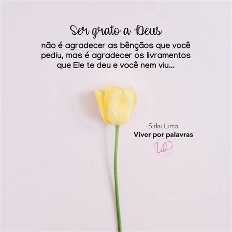 Neusa Viver Por Palavras Instagram Inspirational Quote