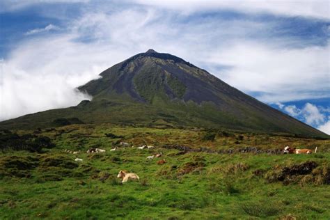 Le C Ne Volcanique Du Pico Pico A Ores Portugal