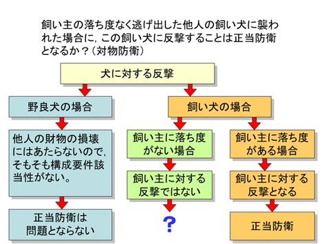 【学ぼう‼刑法】入門編／総論12／正当防衛（1）／正当防衛の効果と成立要件／対物防衛｜杉山博亮