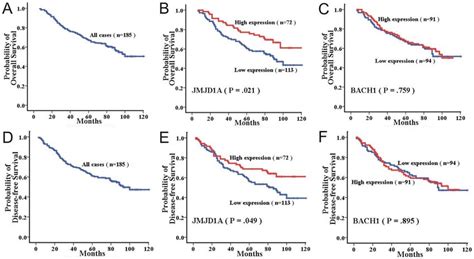 Kaplan Meier Curves For Overall Survival And Disease Free Survival Of