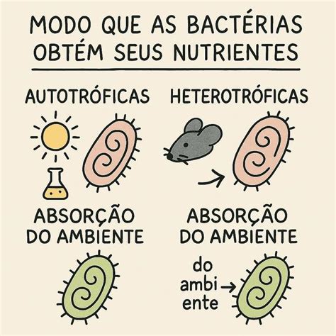 Como As Bactérias Se Alimentam - De que modo as bactérias obtêm seus nutrientes? como são classificadas ...