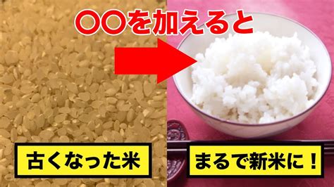 古くなった米（古米）をおいしく炊く方法！なんと〇〇を加えるだけ。【豆知識】 Youtube