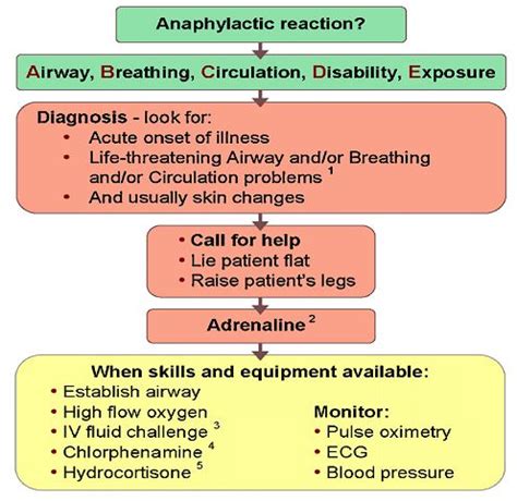 Anaphylactic Shock Case Study -The Impending Doom