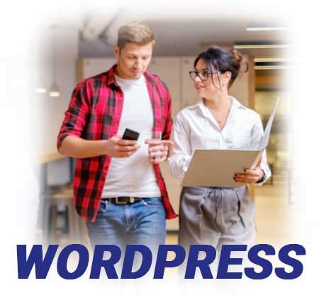 Hire Wordpress Developer India