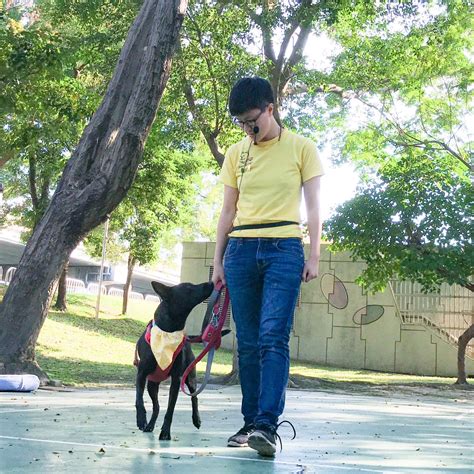 狗狗社交訓練 狗公園交朋友？當心讓狗狗從此害怕陌生狗狗！ 浪犬博士狗兒家庭教育學院 浪犬博士 狗兒家庭教育學院