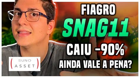 Fiagro Snag Vale A Pena Investir No Fiagro Da Suno B Nus