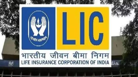 Lic Ipo Know How Policyholders Can Link Pan Lic To Buy Ipo News18