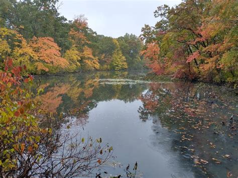 This Rhode Island Bike Ride Leads To Stunning Fall Foliage