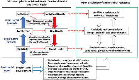 Frontiers Antibiotic Resistance Moving From Individual Health Norms