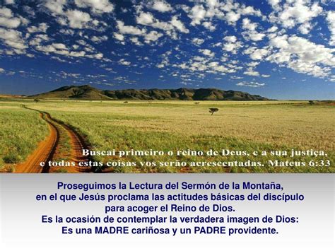 PPT Mirad Los Lirios Del Campo PowerPoint Presentation ID 6239118