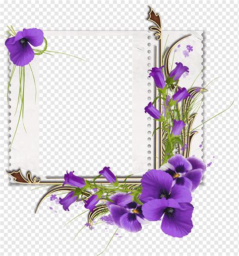 Flower Flowers Corner Purple Flower Arranging Violet Png Pngwing