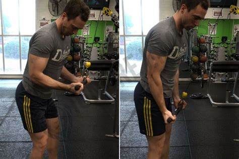 How To Do The Triceps Pushdown Form Benefits And Alternatives Legion