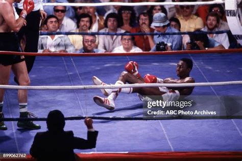 Veteran Boxer Photos And Premium High Res Pictures Getty Images