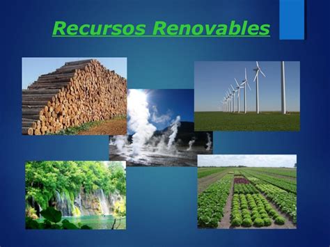 Ejemplos De Recursos Naturales