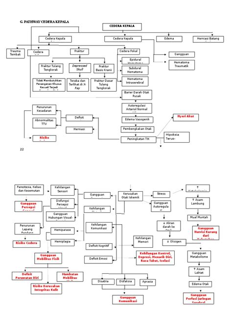 Pathway Cedera Kepala Pdf