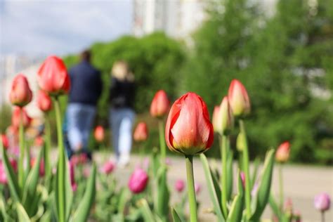 Majówka 2024 Poradnik pogoda sklepy ceny paliw