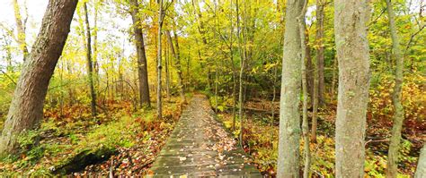 pinckney state rec area terrain