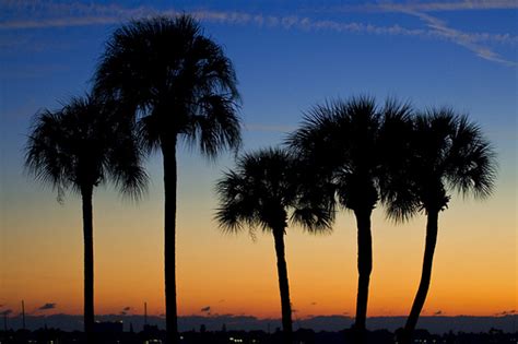 Pure Country Living The Amish Community Of Pinecraft In Sarasota Florida