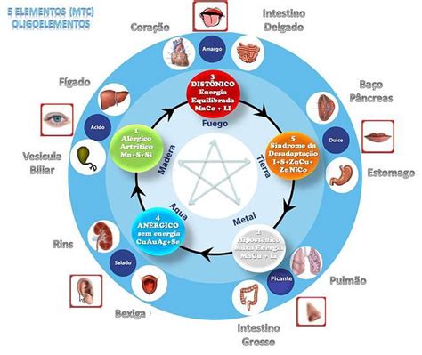 Elementos Da Medicina Chinesa E Oligoelementos Medicina Chinesa