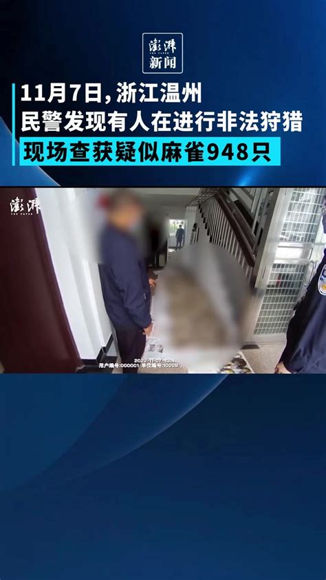 男子非法捕获近千只鸟被当场抓获，现场查获疑似麻雀948只凤凰网视频凤凰网