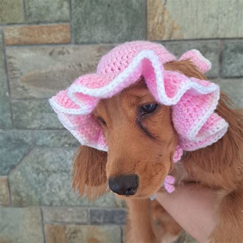 Crochet Dog Hat Free Crochet Pattern Goldenlucycrafts