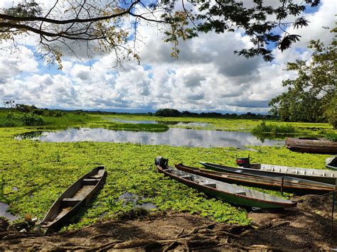 Boats Magdalena River Colombia - Free photo on Pixabay - Pixabay