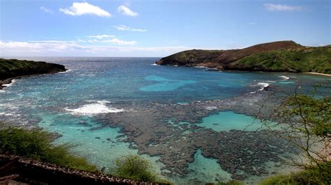 Hanauma Bay Unter Wasser